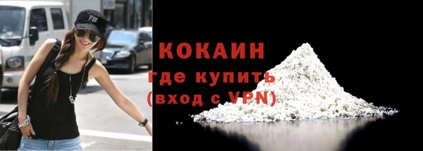 твердый Арсеньев