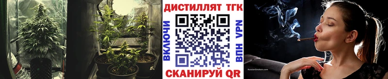 Дистиллят ТГК Wax Шелехов